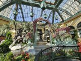 Bellagio Conservatory & Botanical Gardens
