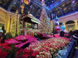 Bellagio Conservatory & Botanical Gardens