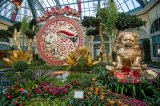 Bellagio Conservatory & Botanical Gardens