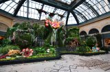 Bellagio Conservatory & Botanical Gardens
