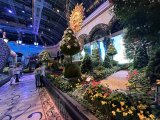 Bellagio Conservatory & Botanical Gardens