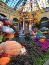 Bellagio Hotel & Casino
