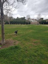 Bob Baskin Park