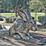 Craig Ranch Regional Park