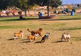 Desert Breeze Park