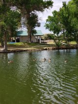 Floyd Lamb Park