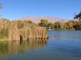 Floyd Lamb Park