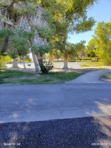 Floyd Lamb Park