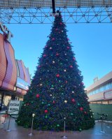 Fremont Hotel & Casino