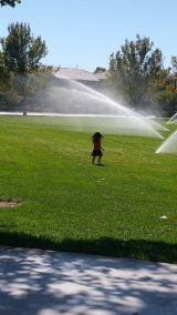 Gardens Park