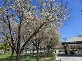 Gardens Park