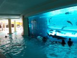 Golden Nugget Las Vegas Hotel & Casino