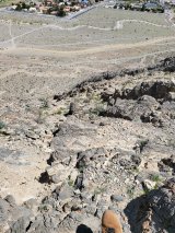 Lone Mountain Regional Park
