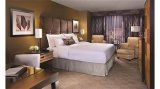 New York-New York Hotel & Casino