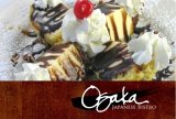 Osaka Japanese Bistro