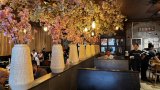 Sakana Sushi (All You Can Eat)