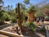 Springs Preserve