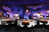 STK Steakhouse