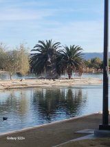 Sunset Park