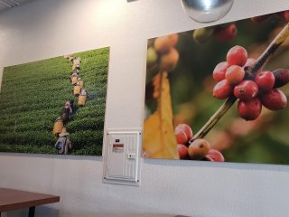 7 Leaves Cafe - Spring Mountain - Las Vegas, NV