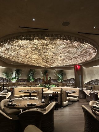 Amaya Modern Mexican
