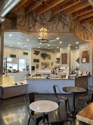 Bad Owl Coffee Roasters