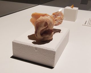 Bodies | The Exhibition