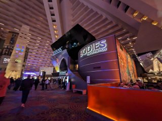 Bodies | The Exhibition
