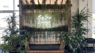 Bungalow Coffee Co
