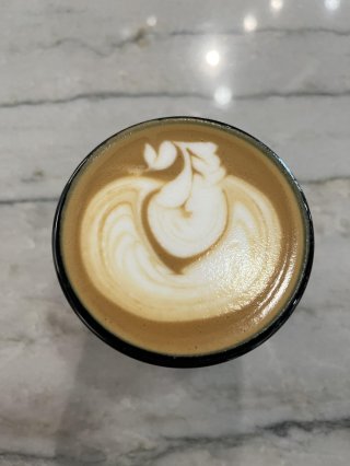 Bungalow Coffee Co