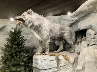 Clark County Museum