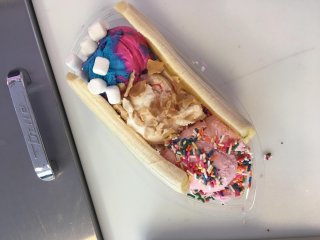 Dylan's Family Ice Cream