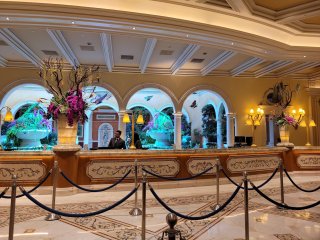 Fountains of Bellagio