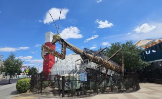 Giant Metal Mantis