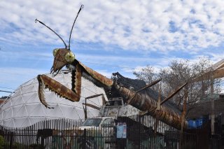 Giant Metal Mantis