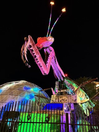 Giant Metal Mantis