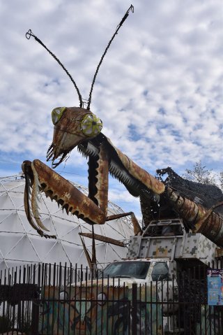 Giant Metal Mantis