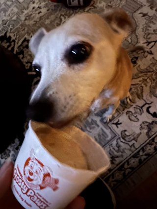 Handel's Homemade Ice Cream