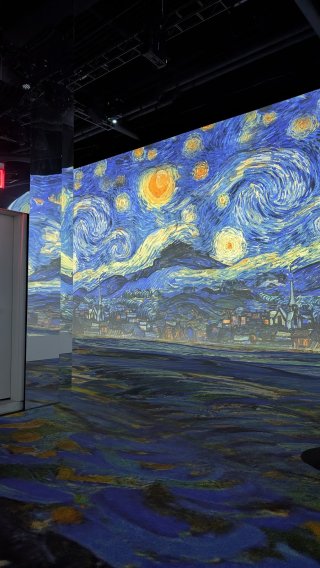 Immersive Van Gogh