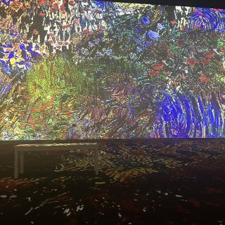 Immersive Van Gogh
