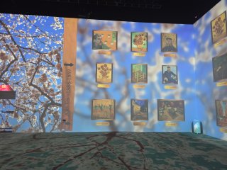 Immersive Van Gogh