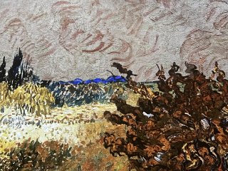 Immersive Van Gogh