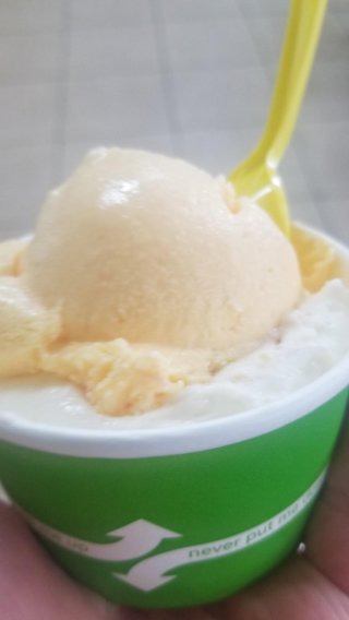 La Flor De Michoacan Ice Cream