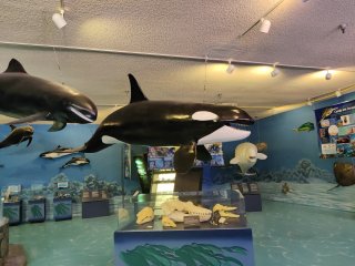 Las Vegas Natural History Museum