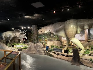 Las Vegas Natural History Museum