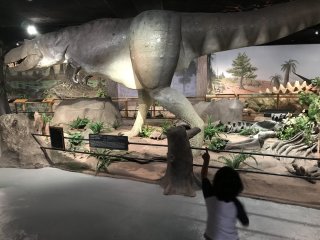 Las Vegas Natural History Museum