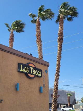 Los Tacos