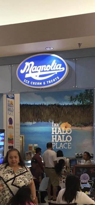 Magnolia Ice Cream & Treats