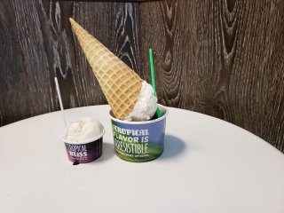 Magnolia Ice Cream & Treats