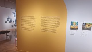 Marjorie Barrick Museum of Art